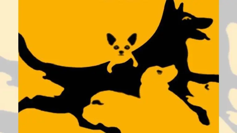 Desafío viral: ¿podés encontrar a todos los perros que se esconden en esta imagen?