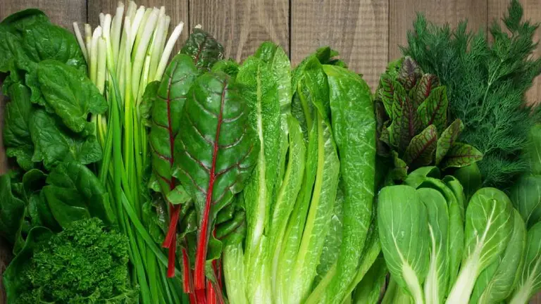 ¿Sos fanático de las ensaladas? 8 vegetales que tenés que incluir en tu dieta