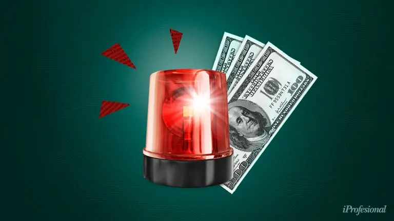 Esta empresa no liquidó dólares y el BCRA le cerró el acceso al mercado cambiario