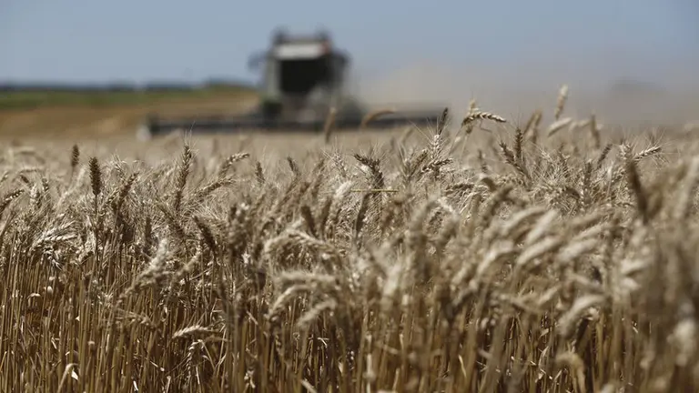 Universidad Austral: crece la desconfianza de los productores rurales