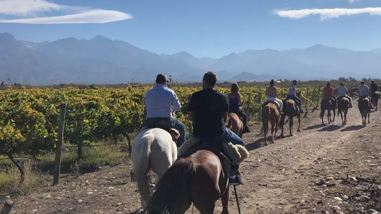 Thibault Lepoutre: "El objetivo de Piedra Negra es volver a tener una fuerte presencia en la Argentina"