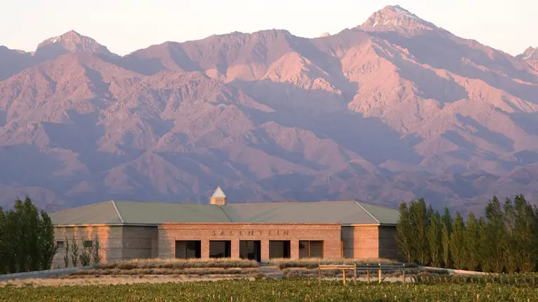 Vinos, gastronomía y turismo: 15 bodegas para visitar en Semana Santa