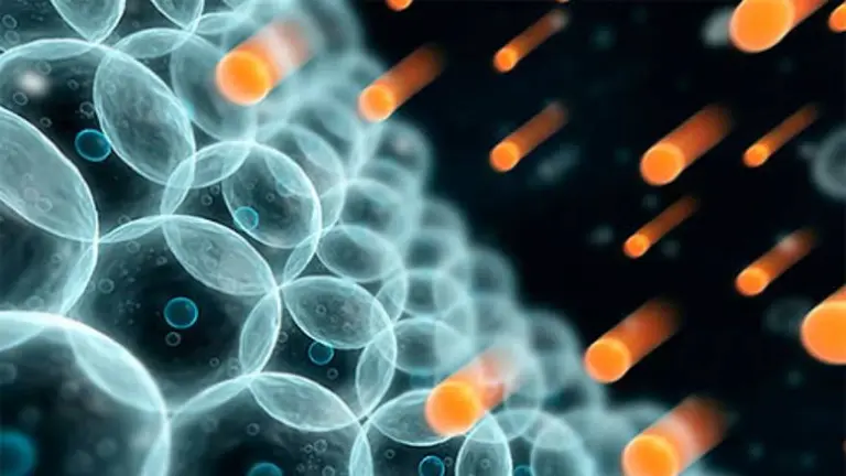 Qué es el estrés oxidativo, cómo afecta tu salud y cuál es la forma de combatirlo