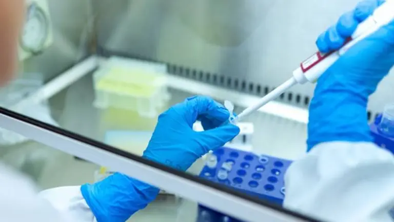 Más cepas nuevas de coronavirus: en Brasil detectaron una que tiene 18 mutaciones