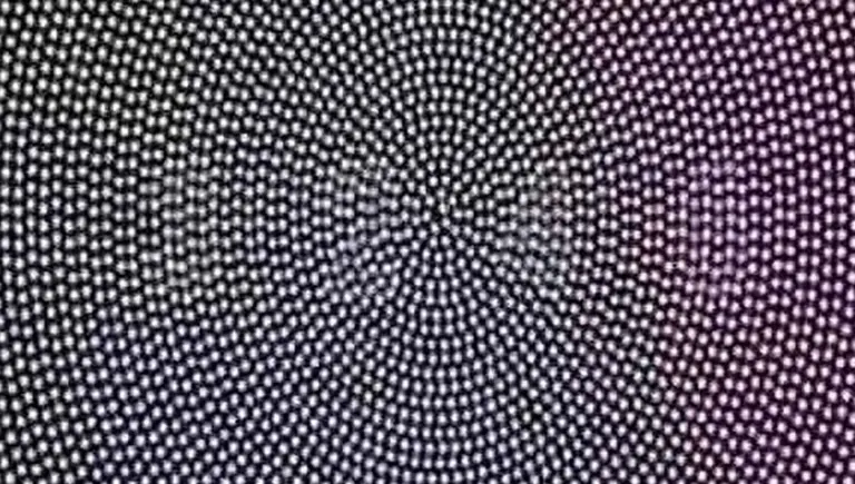 Poné a prueba tu capacidad visual con este test: ¿qué números ves en esta imagen?