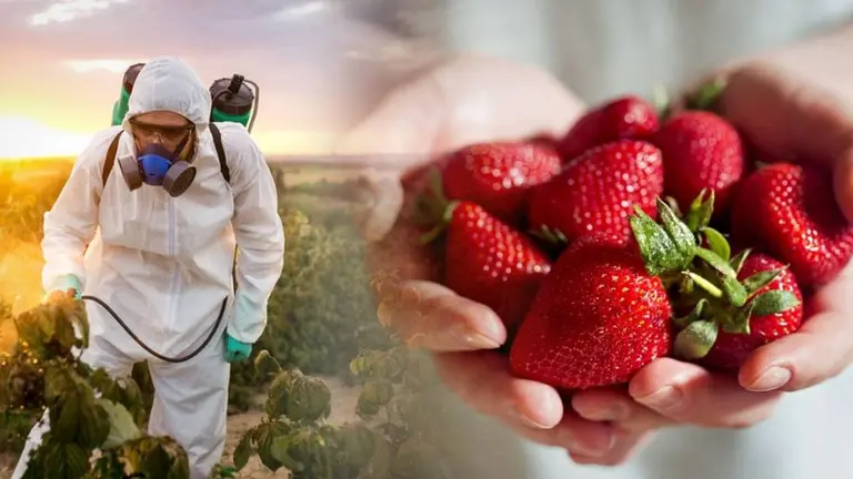 Celebra la salud: Argentina dejará de usar uno de los agrotóxicos más letales creados por Dow