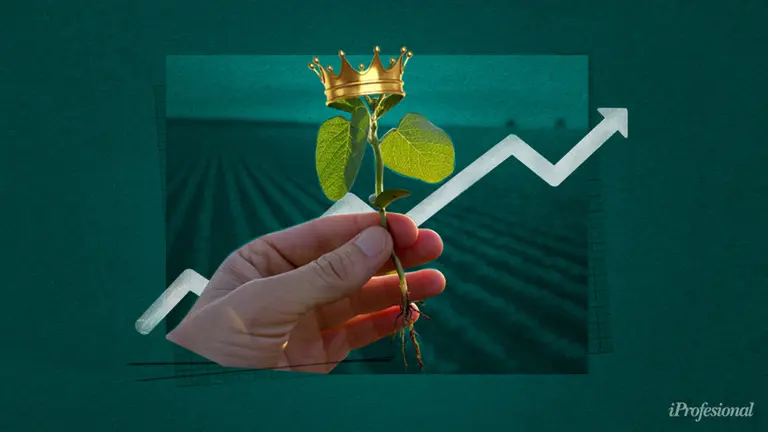 Por trabas al dólar y precios de granos volando, se imponen proyectos inmobiliarios "soja por ladrillo"