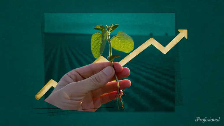 Soja a u$s600: el Gobierno festeja por el impacto fiscal pero está en alerta por este efecto colateral