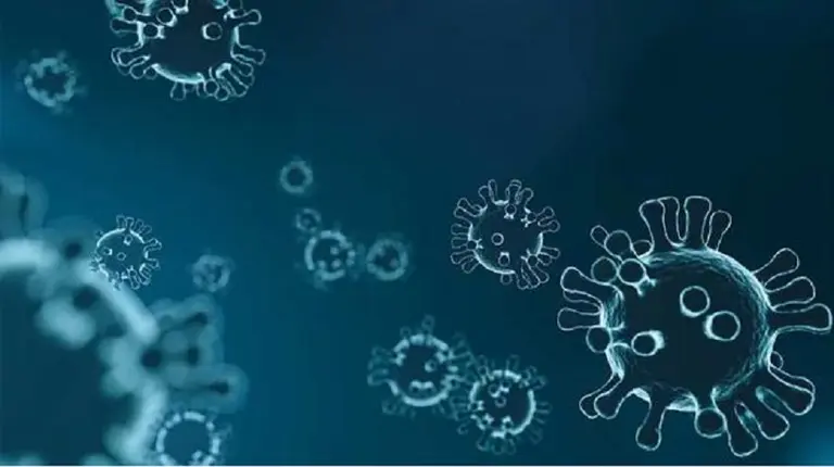 Descubren el "talón de Aquiles" del coronavirus que evitaría su replicación