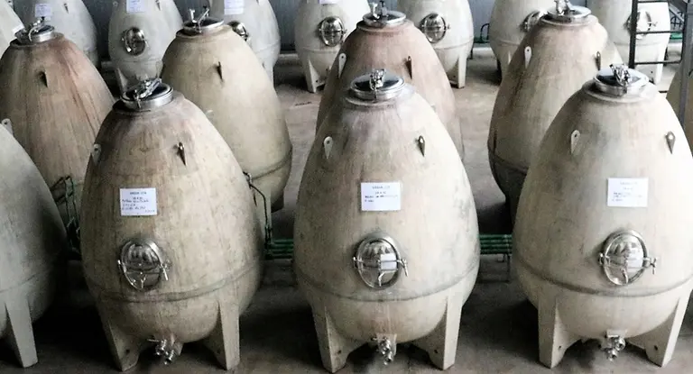 Debaten los enólogos: los huevos de concreto para elaborar vinos, ¿funcionan o son un mito?