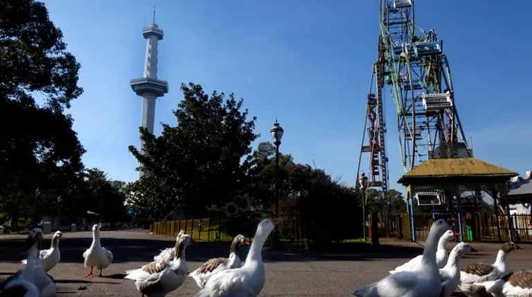De ser el parque de diversiones más grande de Latinoamérica a un lugar abandonado: la historia del Parque de la Ciudad