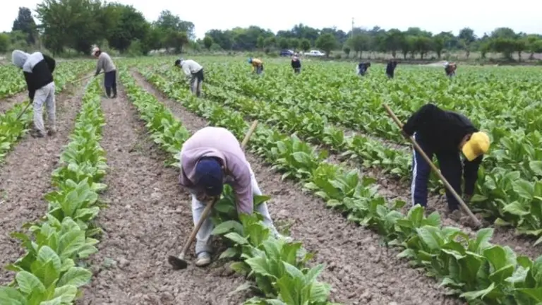 Renatre prorroga el plan de facilidades de pago de deudas de la Seguridad Social