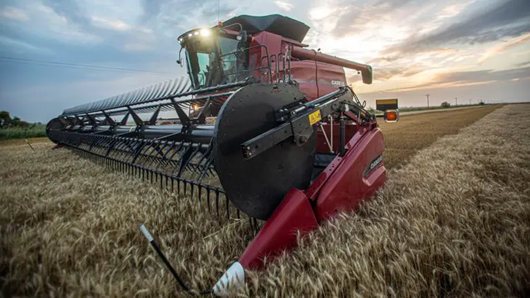 Medida: cupo de exportación de trigo 14,5 millones de toneladas y rechazo de la Sociedad Rural