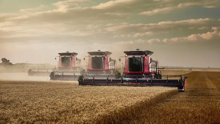 Mercado inmobiliario rural: ¿cuánto cuesta una hectárea agrícola en la Zona Núcleo?