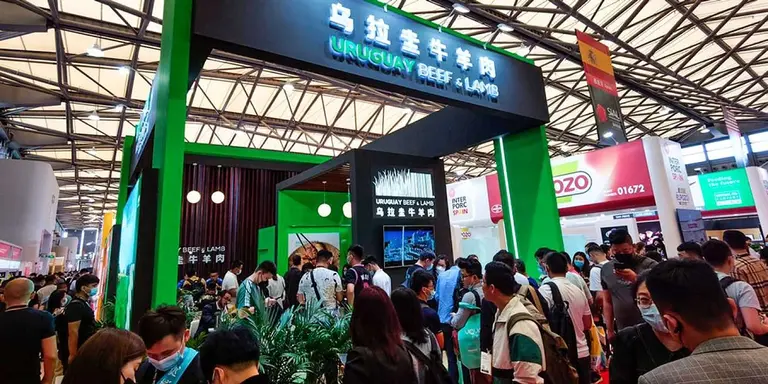 Carne: tras el cierre de las exportaciones, los compradores chinos apuntan a Uruguay y Brasil