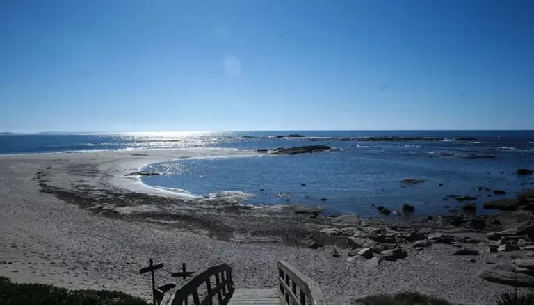 Argentinos en José Ignacio: este es el fenómeno que alienta expectativas de negocio en Uruguay