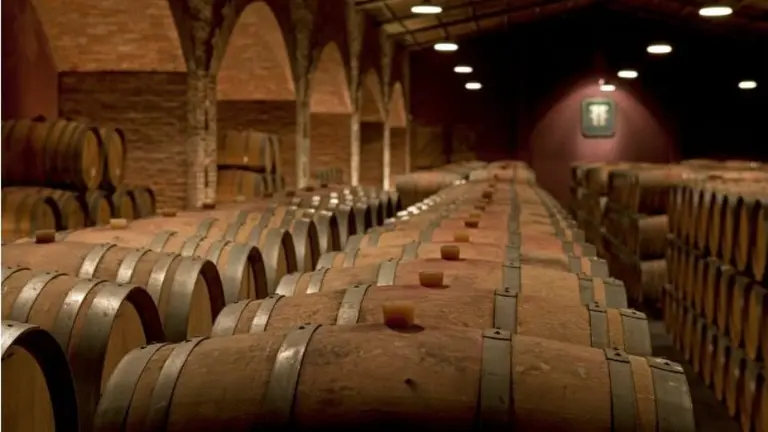 "Finca Flichman no falla en calidad", dice Rogelio Rabino, nuevo enólogo, y sus vinos brillan internacionalmente en 2021