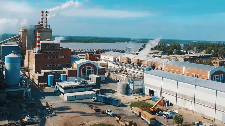 Celulosa, la mayor fabricante de papel del país, recorta pérdidas pero sufre una fuerte caída de ventas