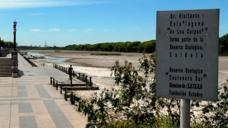 Costanera Sur: proponen expropiar los terrenos de IRSA y crear una reserva ecológica