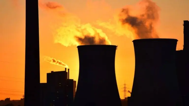 Qué es el "cisne verde" que alarma a los economistas: consideran que las consecuencias pueden ser catastróficas