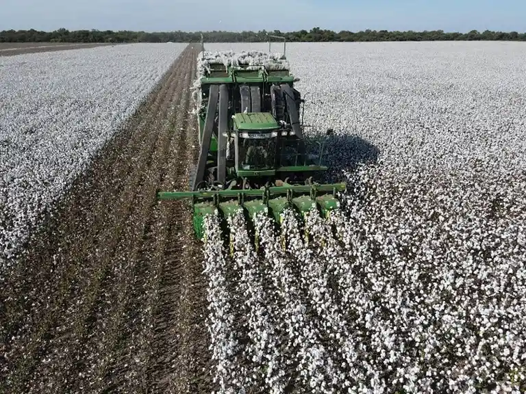 Gremio estratégico cerró paritaria con básico de casi $370.000 más súper bono