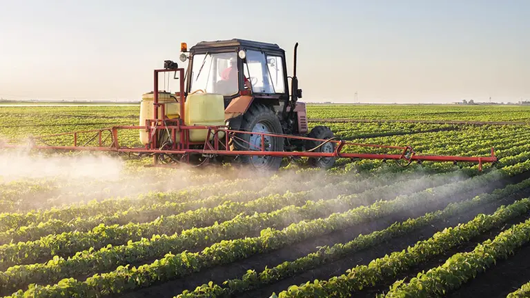 Final para un veneno: oficializan la prohibición para uno de los agrotóxicos más letales creados por Dow Corteva