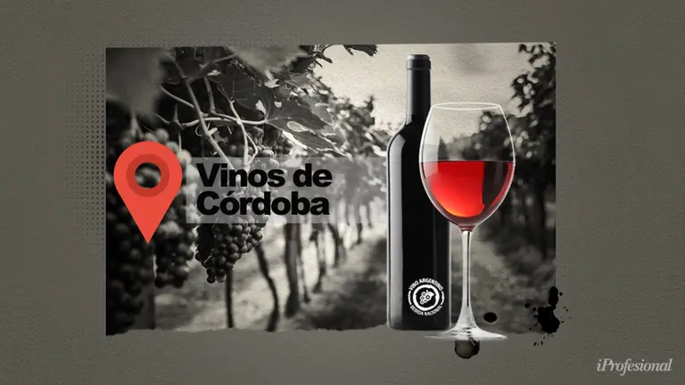 Vinos de Córdoba: qué tenés que saber sobre una provincia con historia y mucho futuro