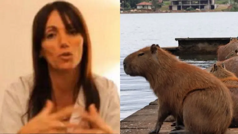 Video delirante: volvió la cheta de Nordelta y se indignó por los carpinchos