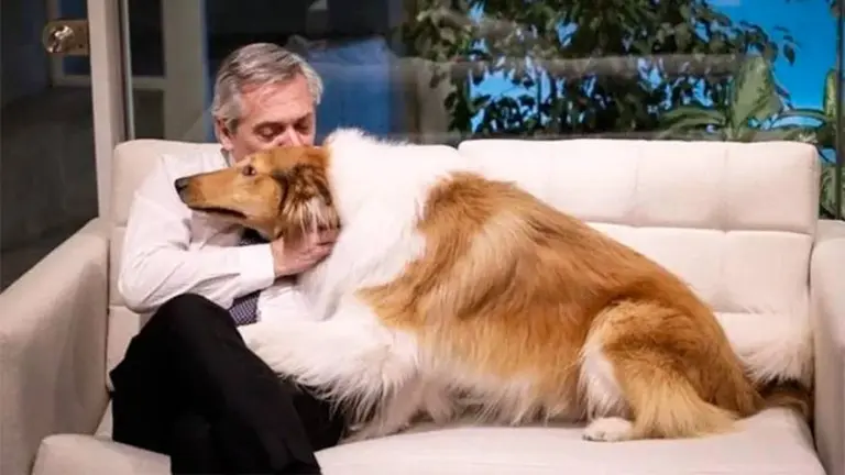 Dylan, el perro de Alberto Fernández, ahora protagoniza un spot opositor