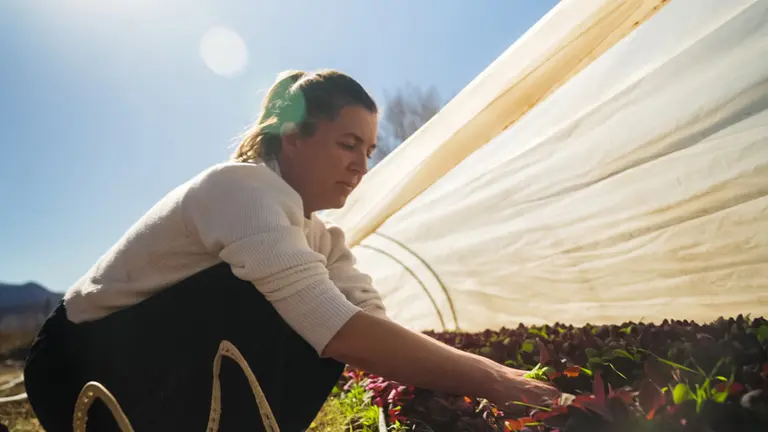 Conocé el restaurante de Tilcara que fue elegido por Mauro Colagreco y el jurado de Baron B