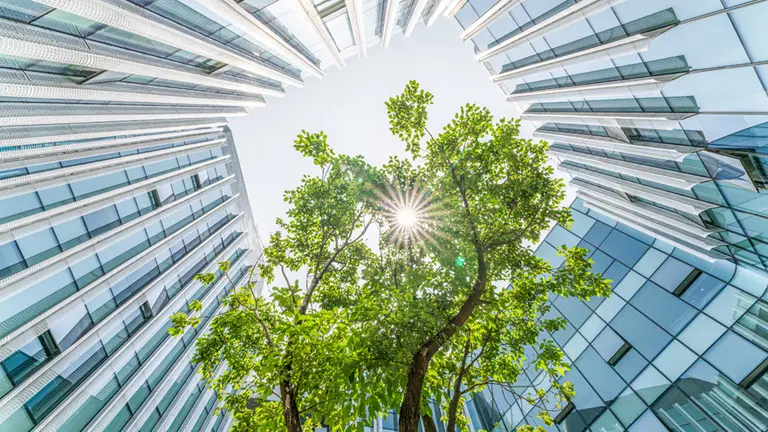 El Programa de Desarrollo Sostenible para Empresas de HSBC Argentina y AG sustentable comenzó con una gran convocatoria