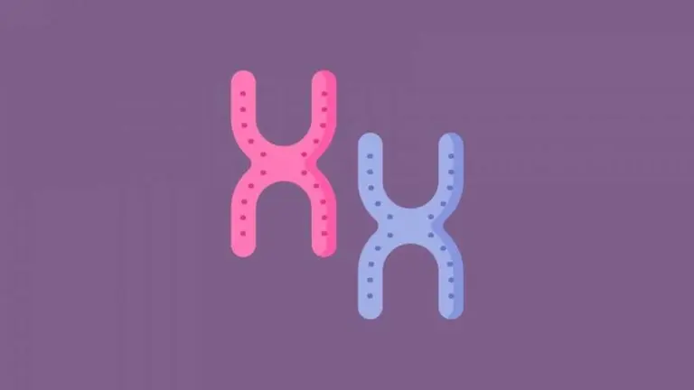 Qué es el síndrome de Turner, la rara patología que afecta a las niñas