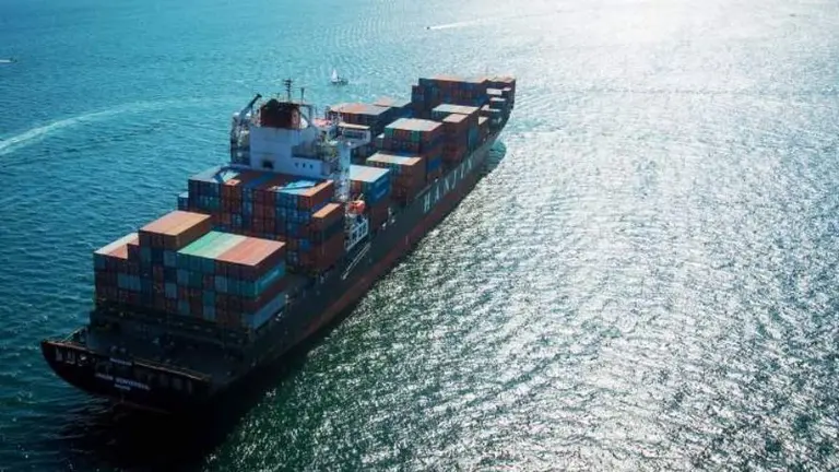 Cepo del cepo y ahora cepo al flete: nuevo costo financiero que afecta importaciones y exportaciones