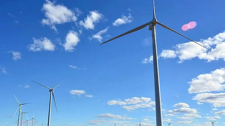 Histórico: Santander y San Miguel lideran la primera Obligación Negociable vinculada a la sustentabilidad en Argentina