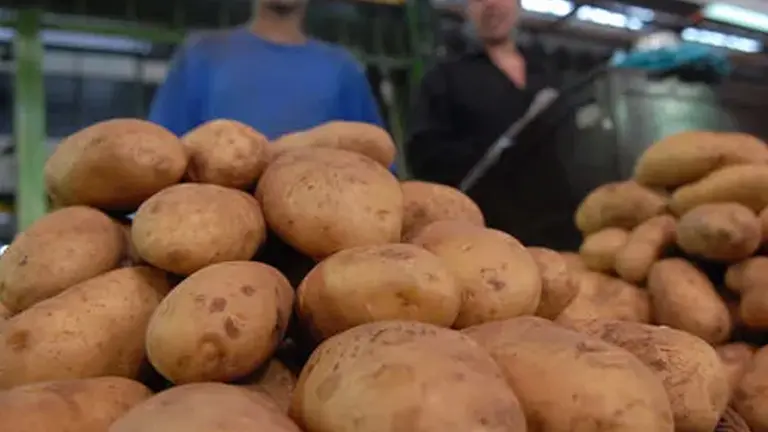 En el país del asado, argentinos comen más papa que carne: por qué se disparó el precio en verdulerías