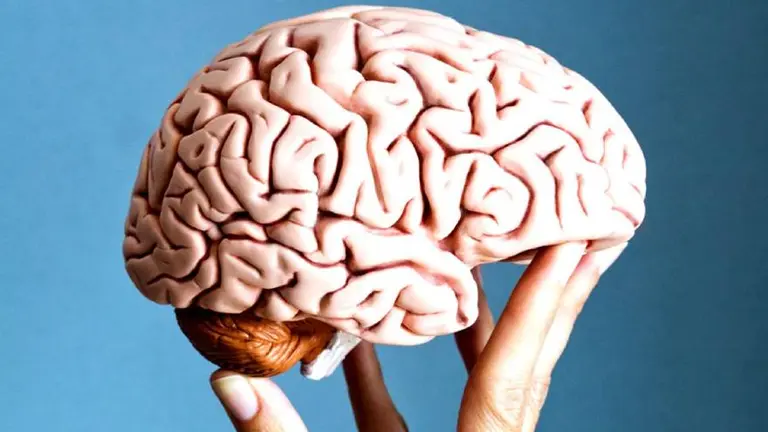 Esta empresa tecnológica quiere "copiar y pegar" datos del cerebro en chips