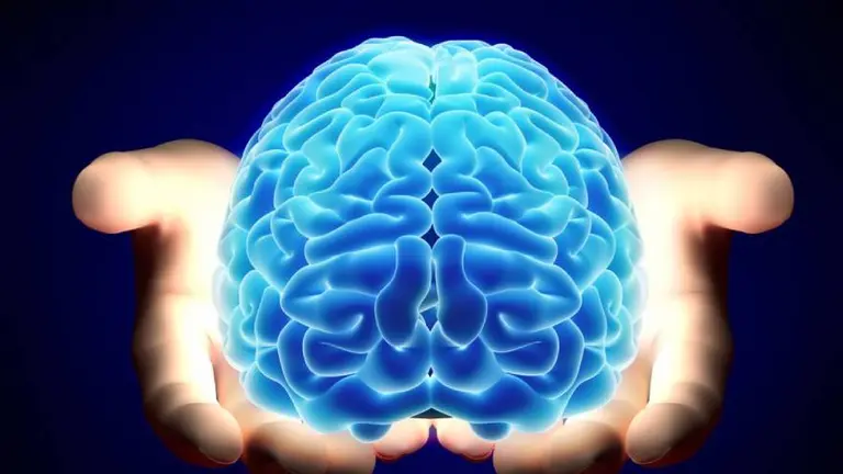 Científicos descubren una proteína que permitiría borrar los malos recuerdos