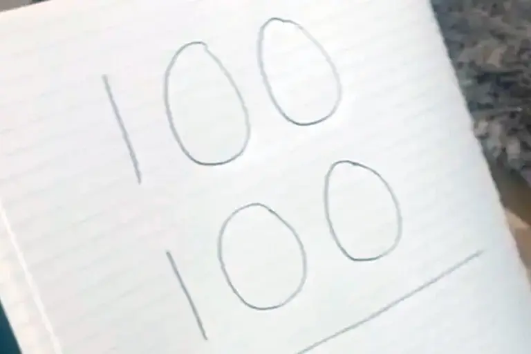 El acertijo matemático que no pudo resolver ni un grupo de ingenieros