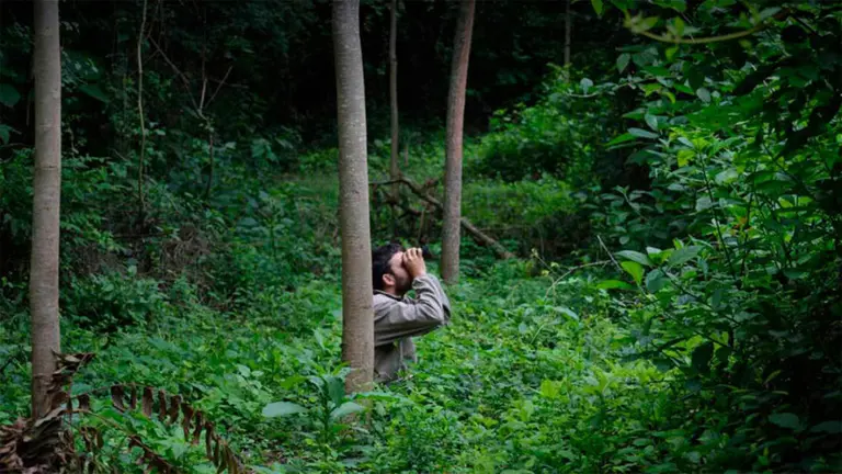 Seamos Bosques: una empresa de triple impacto que brinda soluciones contra el cambio climático