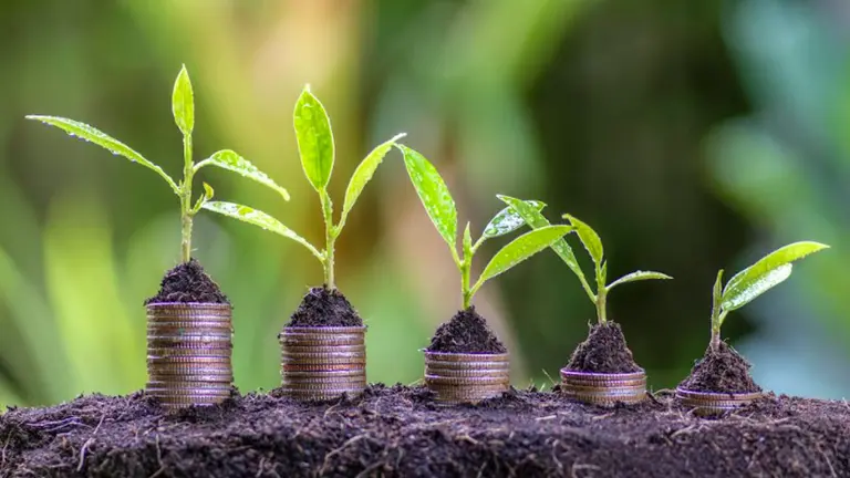 Créditos Verdes: HSBC invirtió casi 1 billón de dólares para financiar proyectos sustentables