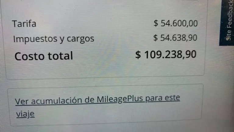 "Me compré un pasaje para mí y otro para alguien del Estado": el irónico tuit de un usuario por la carga impositiva