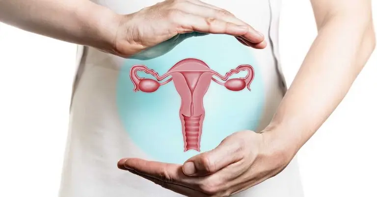 Qué es la histerectomía, la cirugía a la que se sometió Cristina Kirchner