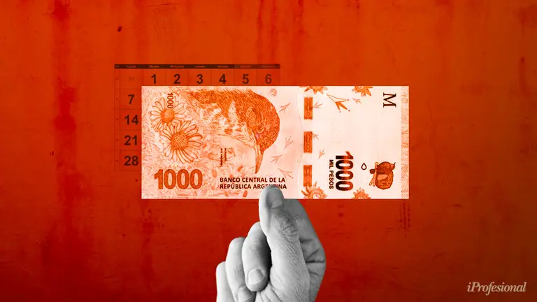 El primer semestre de Milei: ¿el plazo máximo para corregir precios, abrir el cepo y arreglar con el FMI?