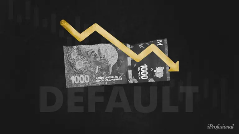 La fiesta en el Congreso por el default más grande de la historia y una factura que tardó 16 años en ser pagada