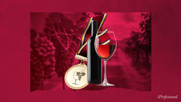 Estos son los mejores vinos argentinos del 2021, según el voto de más de 30 referentes del sector