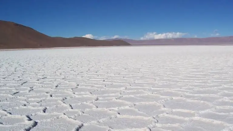 AFIP estableció valores de referencia para las exportaciones de carbonato de litio