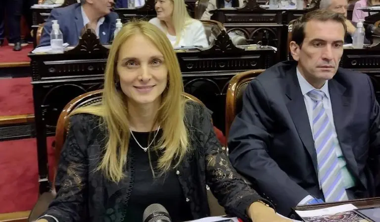 "Pensé que se había terminado el año legislativo": la explicación de la diputada que faltó a una sesión