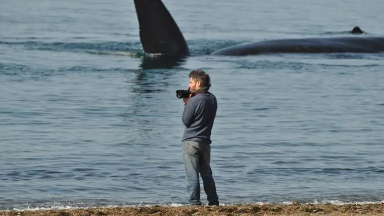 Las mejores dos playas de Argentina según el ranking de Tripadvisor