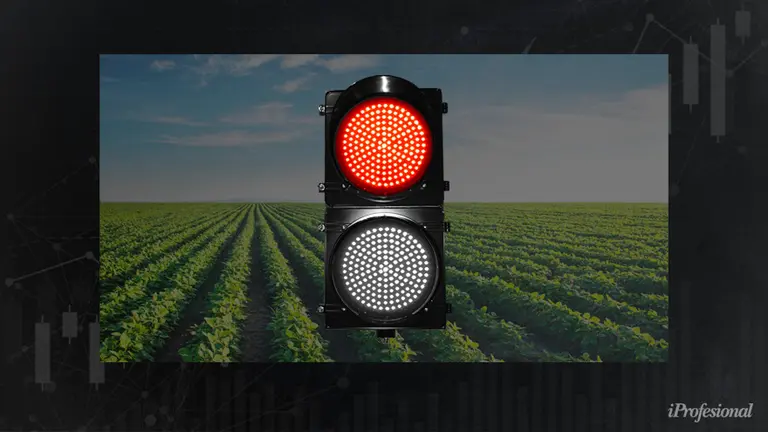 No sólo un apagón: el calor y la sequía restarán más de 6.500 M de dólares a la cosecha