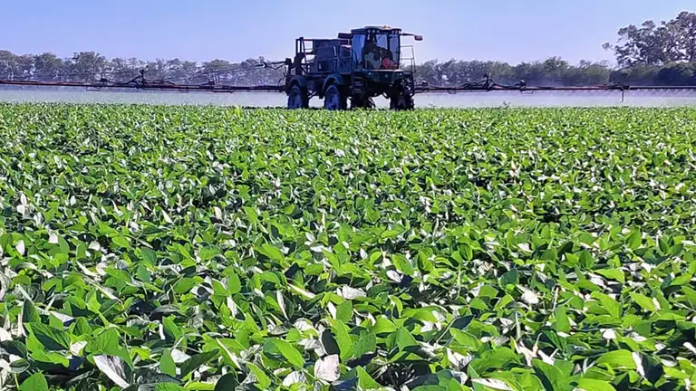 Un escudo protector anti plagas, para que tu cultivo obtenga el mejor rendimiento, cuidando el medio ambiente